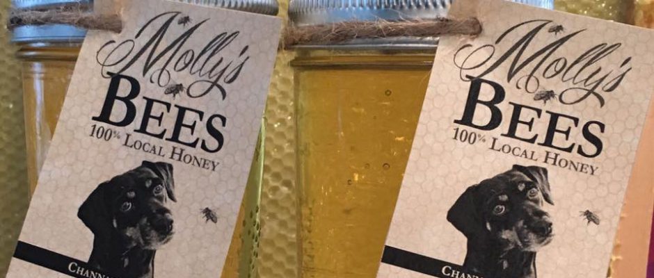 Molly's Bees Honey